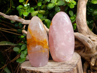 Polished Rose Quartz Standing Free Forms x 3 Madagascar - Toprock Gemstones and Minerals 