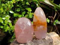 Polished Rose Quartz Standing Free Forms x 3 Madagascar - Toprock Gemstones and Minerals 