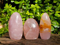 Polished Rose Quartz Standing Free Forms x 3 Madagascar - Toprock Gemstones and Minerals 