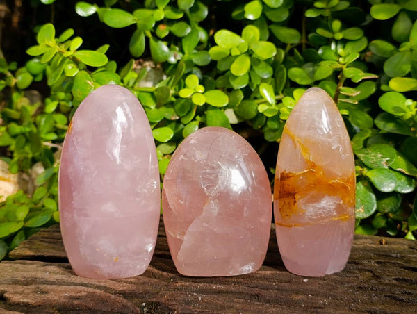 Polished Rose Quartz Standing Free Forms x 3 Madagascar - Toprock Gemstones and Minerals 