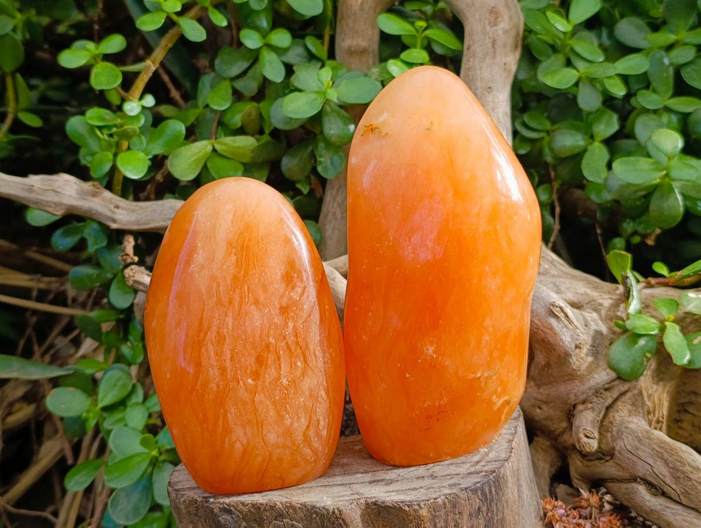 Polished Orange Twist Calcite Standing Free Forms x 2 From Madagascar - Toprock Gemstones and Minerals 