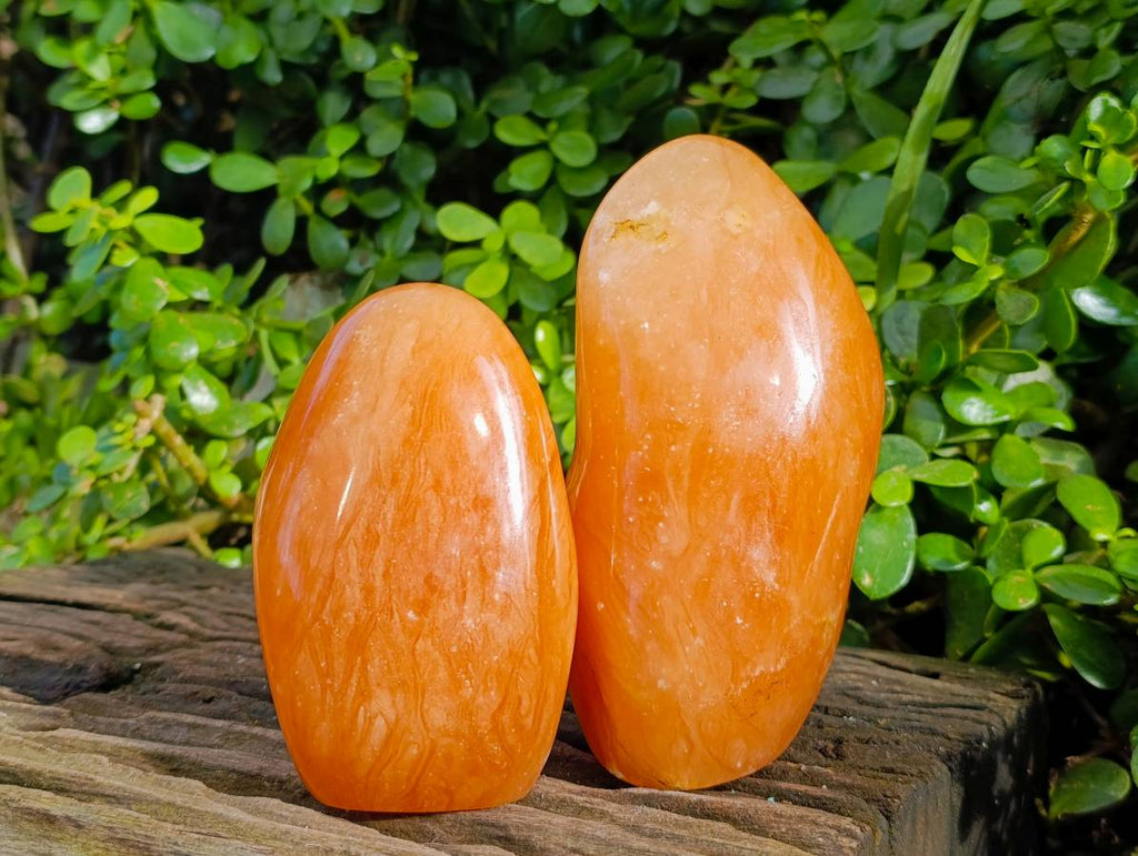 Polished Orange Twist Calcite Standing Free Forms x 2 From Madagascar - Toprock Gemstones and Minerals 