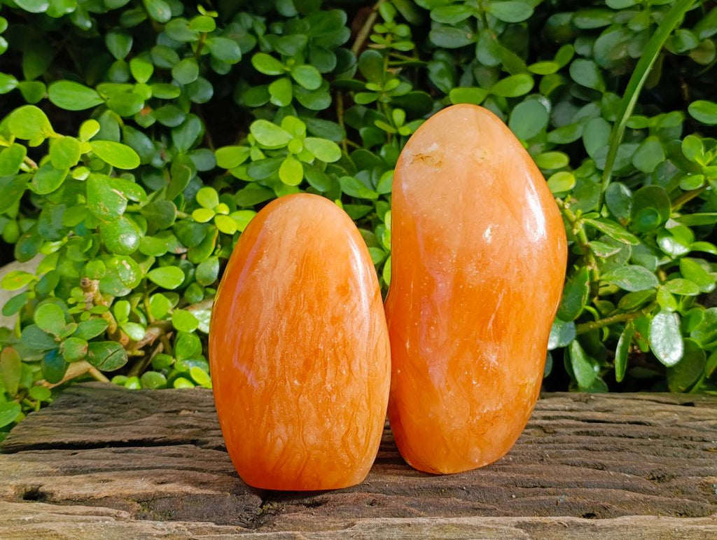 Polished Orange Twist Calcite Standing Free Forms x 2 From Madagascar - Toprock Gemstones and Minerals 