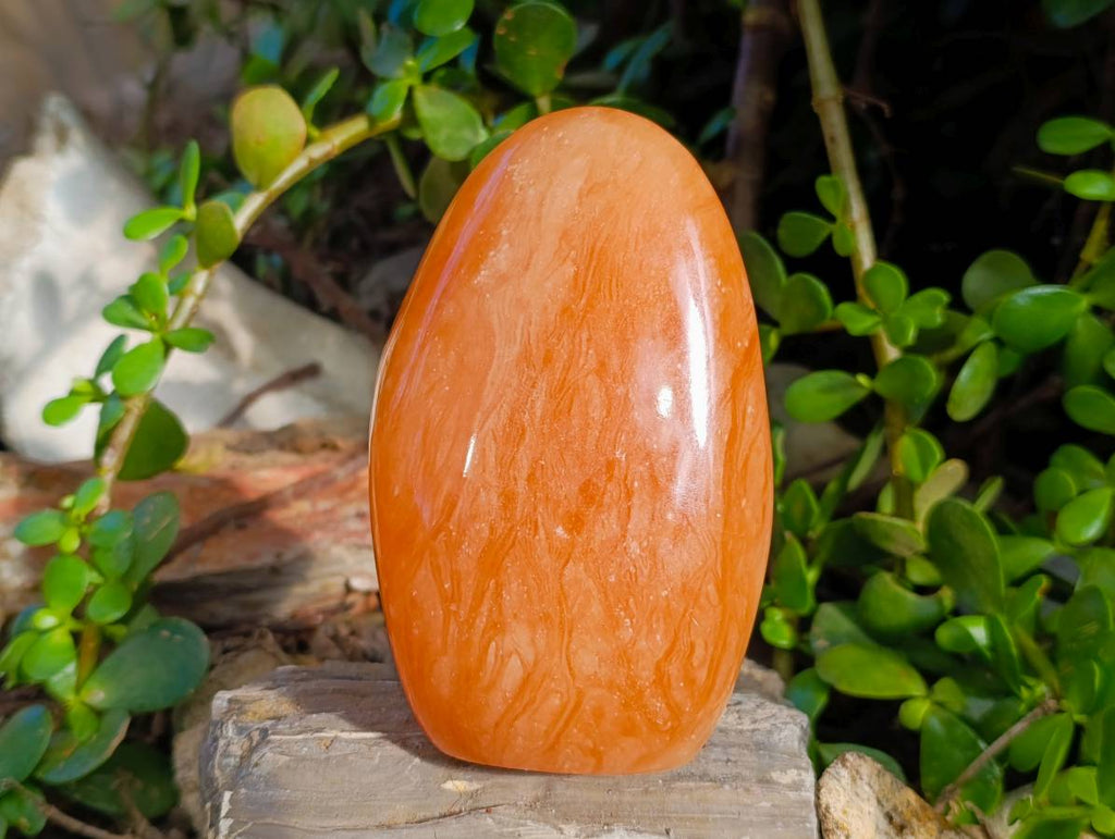 Polished Orange Twist Calcite Standing Free Forms x 2 From Madagascar - Toprock Gemstones and Minerals 