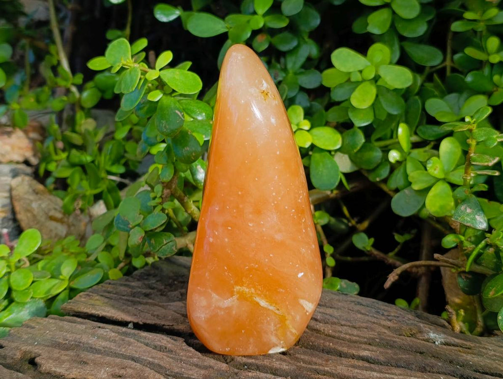 Polished Orange Twist Calcite Standing Free Forms x 2 From Madagascar - Toprock Gemstones and Minerals 