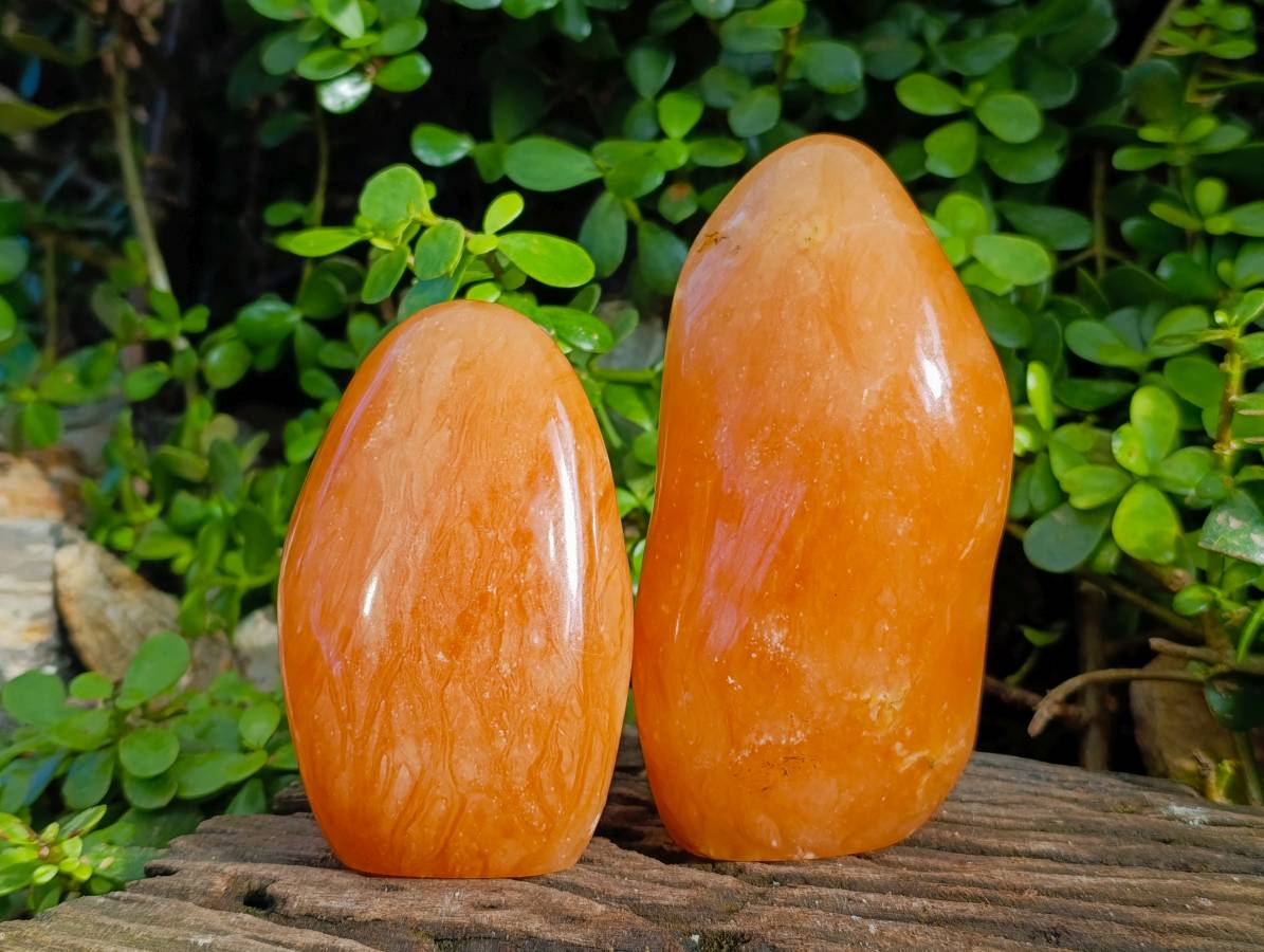 Polished Orange Twist Calcite Standing Free Forms x 2 From Madagascar - Toprock Gemstones and Minerals 