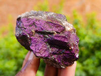 Natural Metallic Purpurite Cobbed Specimens x 7 From Erongo, Namibia