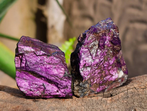 Natural Metallic Purpurite Cobbed Specimens x 7 From Erongo, Namibia