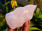 Polished Rose Quartz Standing Flames x 3 Madagascar - Toprock Gemstones and Minerals 
