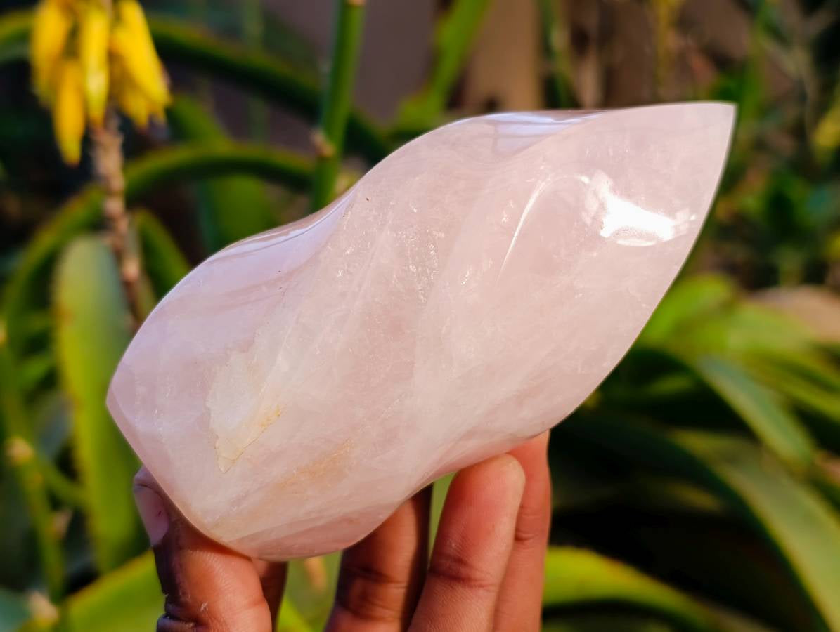 Polished Rose Quartz Standing Flames x 3 Madagascar - Toprock Gemstones and Minerals 