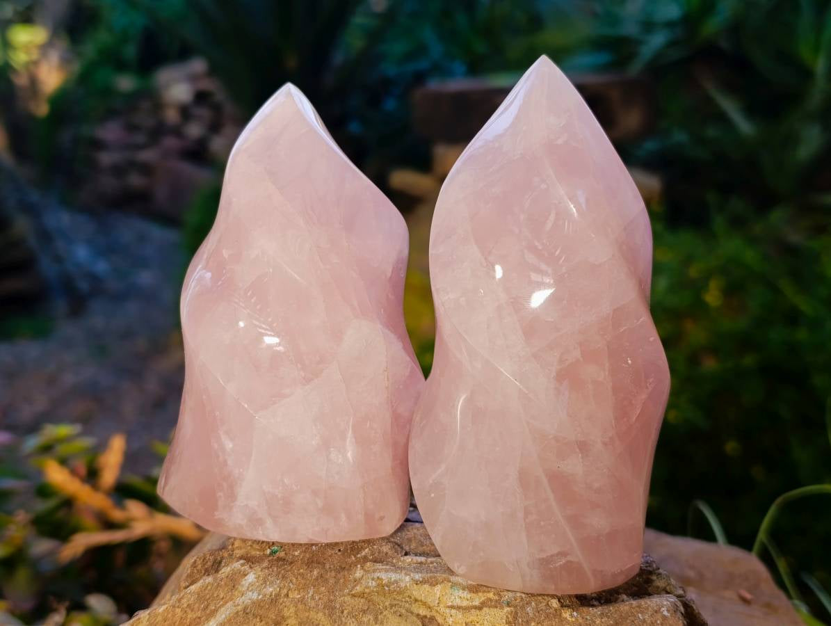 Polished Rose Quartz Standing Flames x 3 Madagascar - Toprock Gemstones and Minerals 