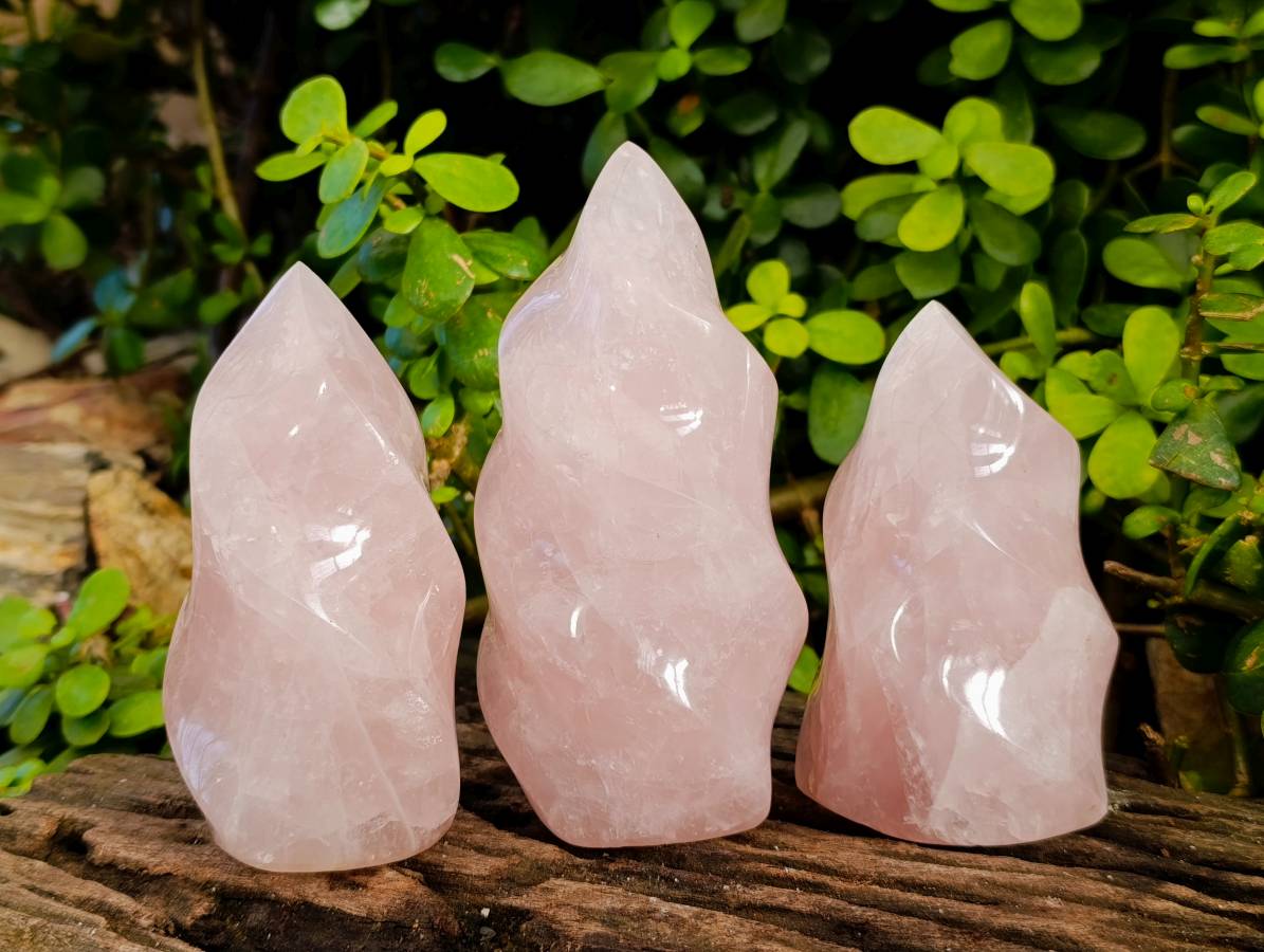 Polished Rose Quartz Standing Flames x 3 Madagascar - Toprock Gemstones and Minerals 