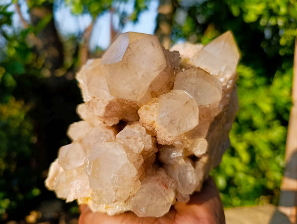 Natural Phantom Smokey Quartz Cluster x 1 From Luena, Congo