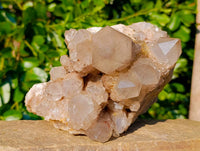 Natural Phantom Smokey Quartz Cluster x 1 From Luena, Congo