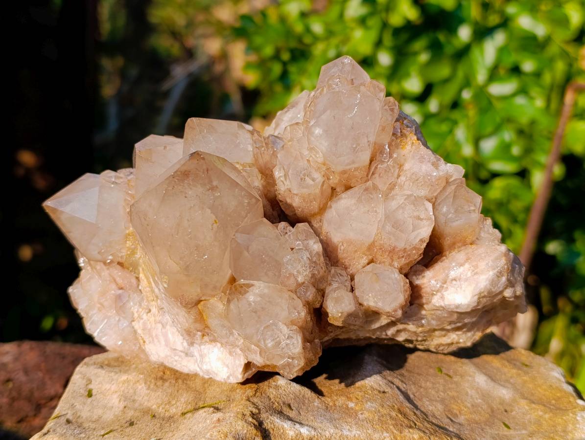 Natural Phantom Smokey Quartz Cluster x 1 From Luena, Congo - Toprock Gemstones and Minerals 
