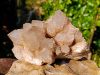 Natural Phantom Smokey Quartz Cluster x 1 From Luena, Congo