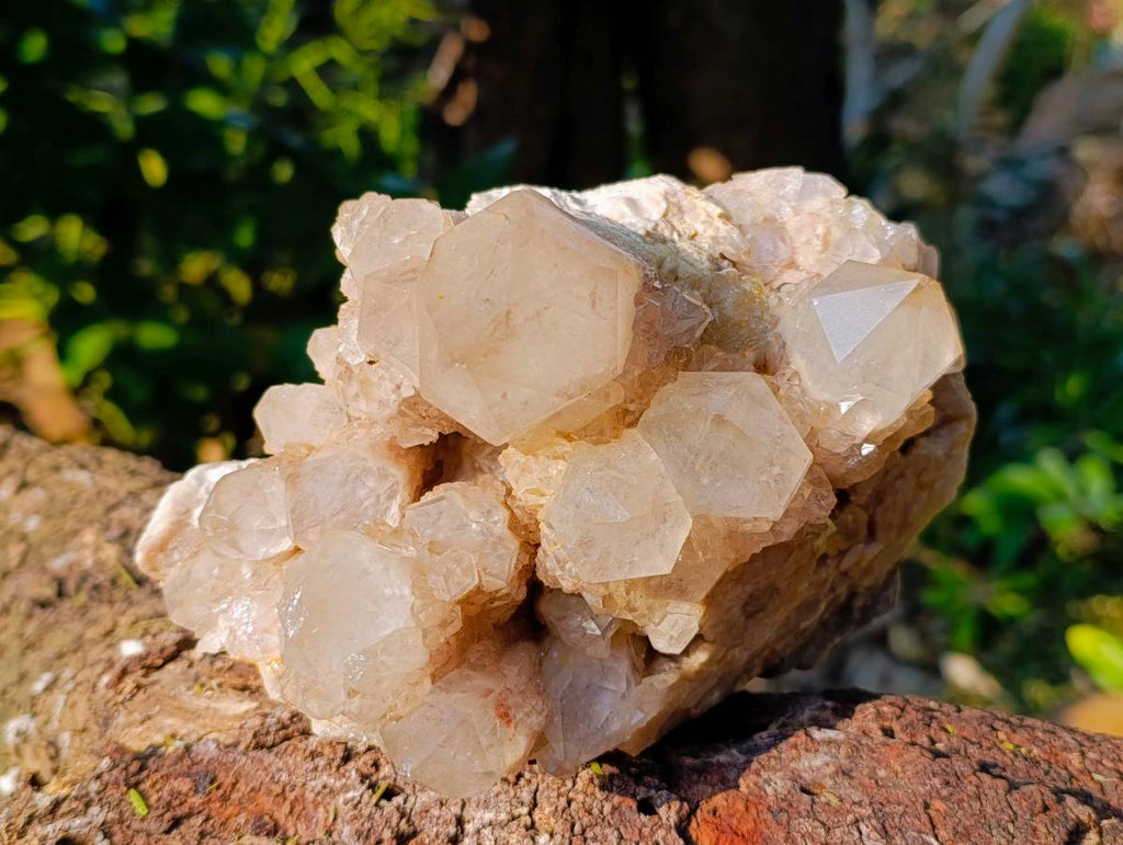 Natural Phantom Smokey Quartz Cluster x 1 From Luena, Congo - Toprock Gemstones and Minerals 