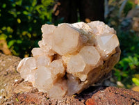 Natural Phantom Smokey Quartz Cluster x 1 From Luena, Congo
