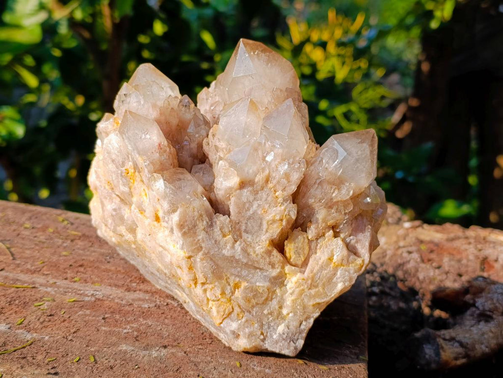 Natural Phantom Smokey Quartz Cluster x 1 From Luena, Congo - Toprock Gemstones and Minerals 