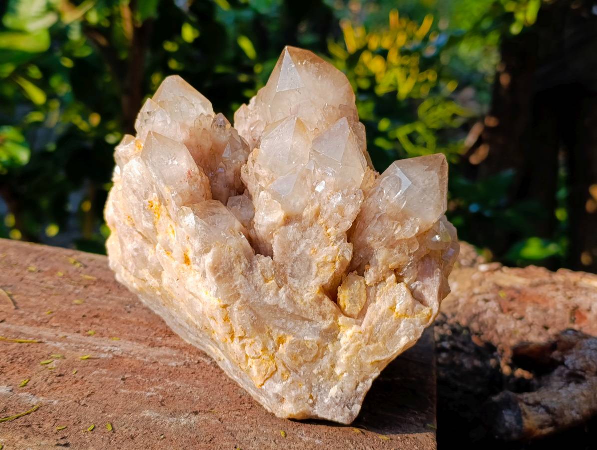 Natural Phantom Smokey Quartz Cluster x 1 From Luena, Congo - Toprock Gemstones and Minerals 