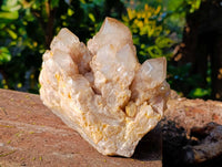 Natural Phantom Smokey Quartz Cluster x 1 From Luena, Congo