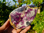 Polished Watermelon Fluorite Slices x 4 From Uis, Namibia - Toprock Gemstones and Minerals 