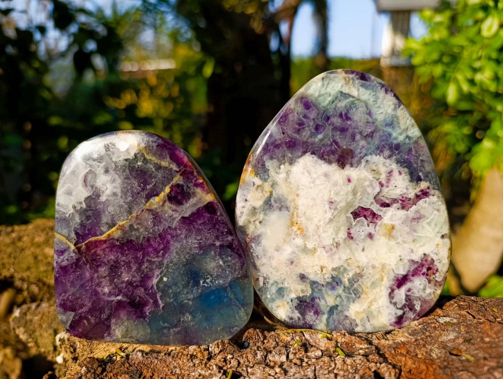 Polished Watermelon Fluorite Slices x 4 From Uis, Namibia - Toprock Gemstones and Minerals 