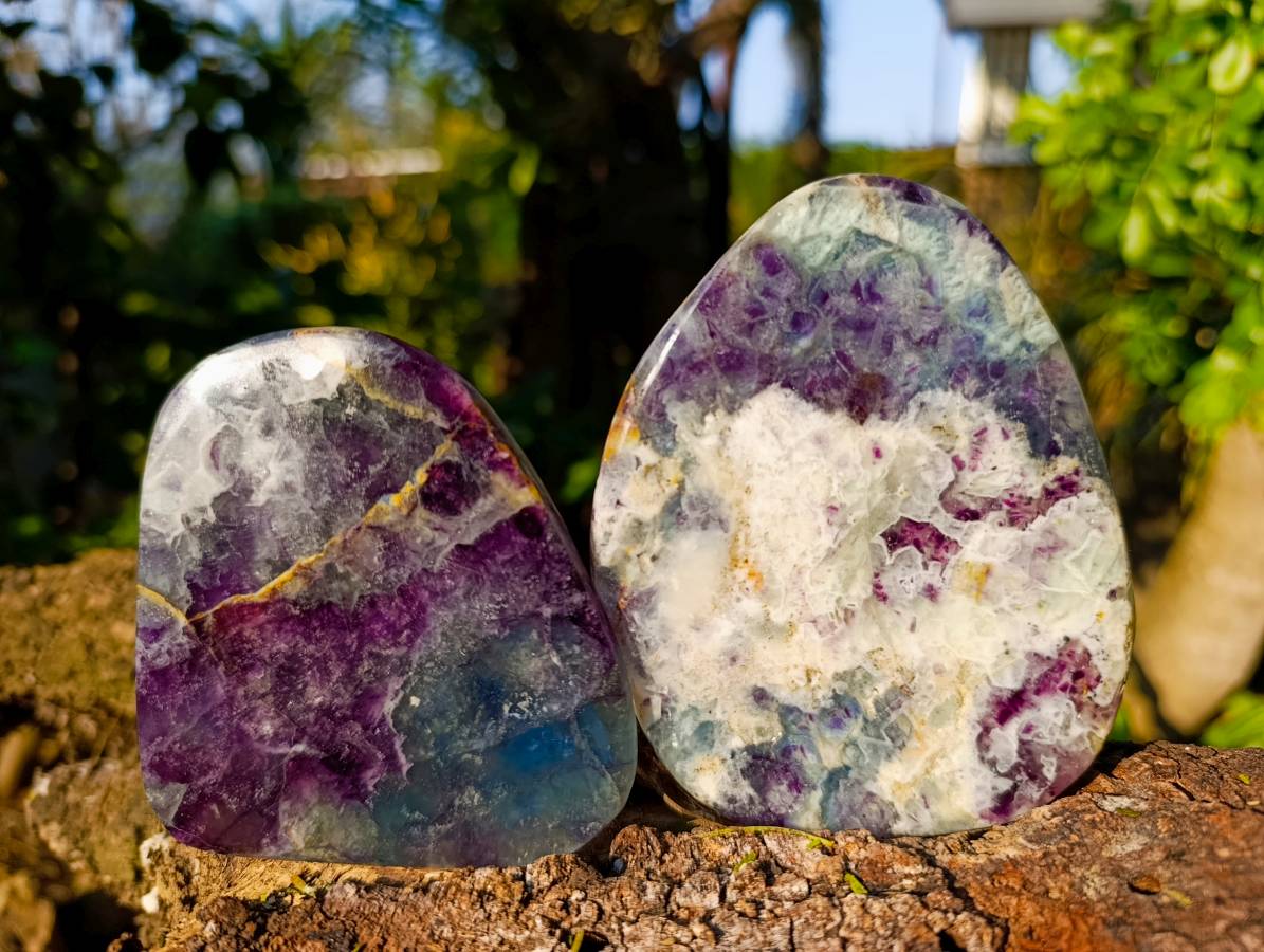 Polished Watermelon Fluorite Slices x 4 From Uis, Namibia - Toprock Gemstones and Minerals 