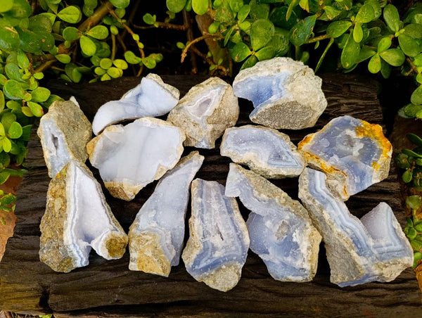 Natural Blue Lace Agate Geode Specimens x 12 From Malawi