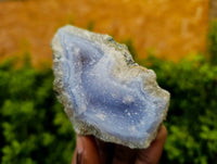 Natural Blue Lace Agate Geode Specimens x 12 From Malawi