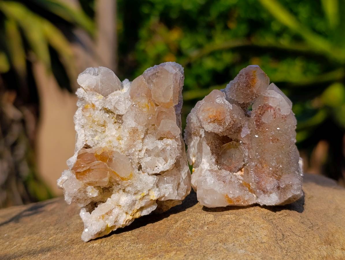 Natural Spirit Quartz Clusters x 12 From Boekenhouthoek, South Africa - Toprock Gemstones and Minerals 