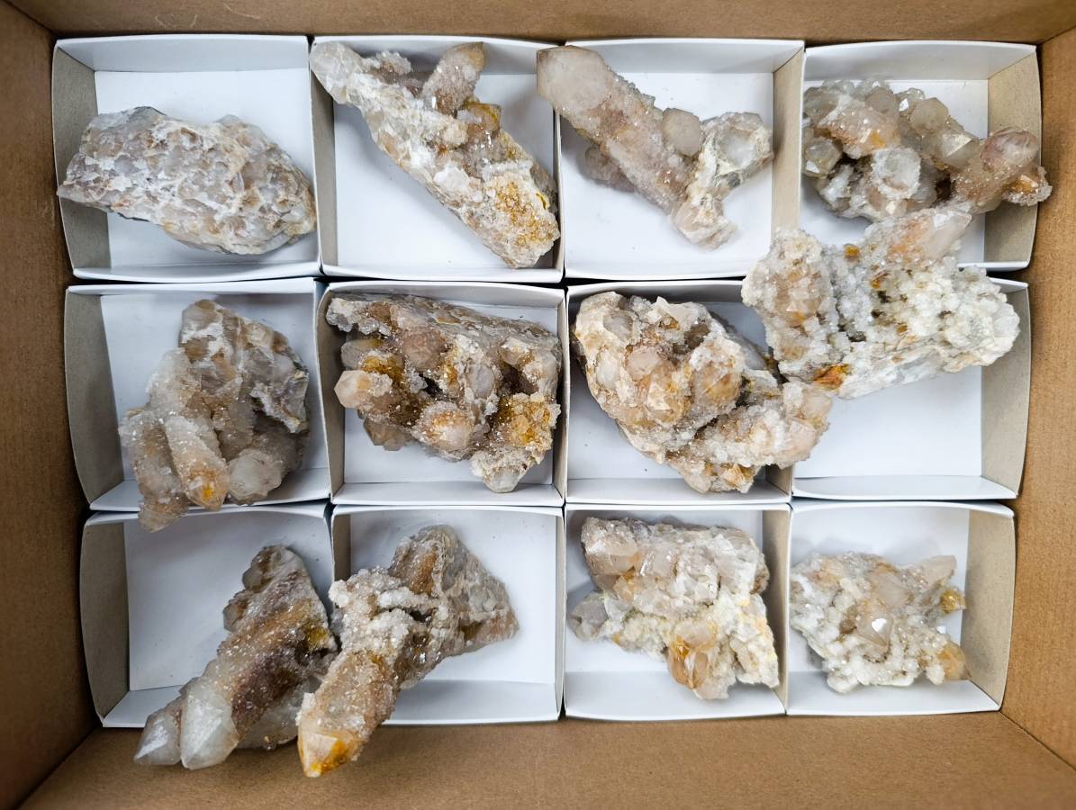 Natural Spirit Quartz Clusters x 12 From Boekenhouthoek, South Africa - Toprock Gemstones and Minerals 