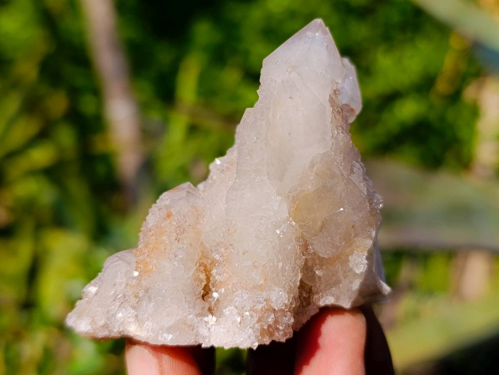 Natural Spirit Quartz Clusters x 12 From Boekenhouthoek, South Africa - Toprock Gemstones and Minerals 