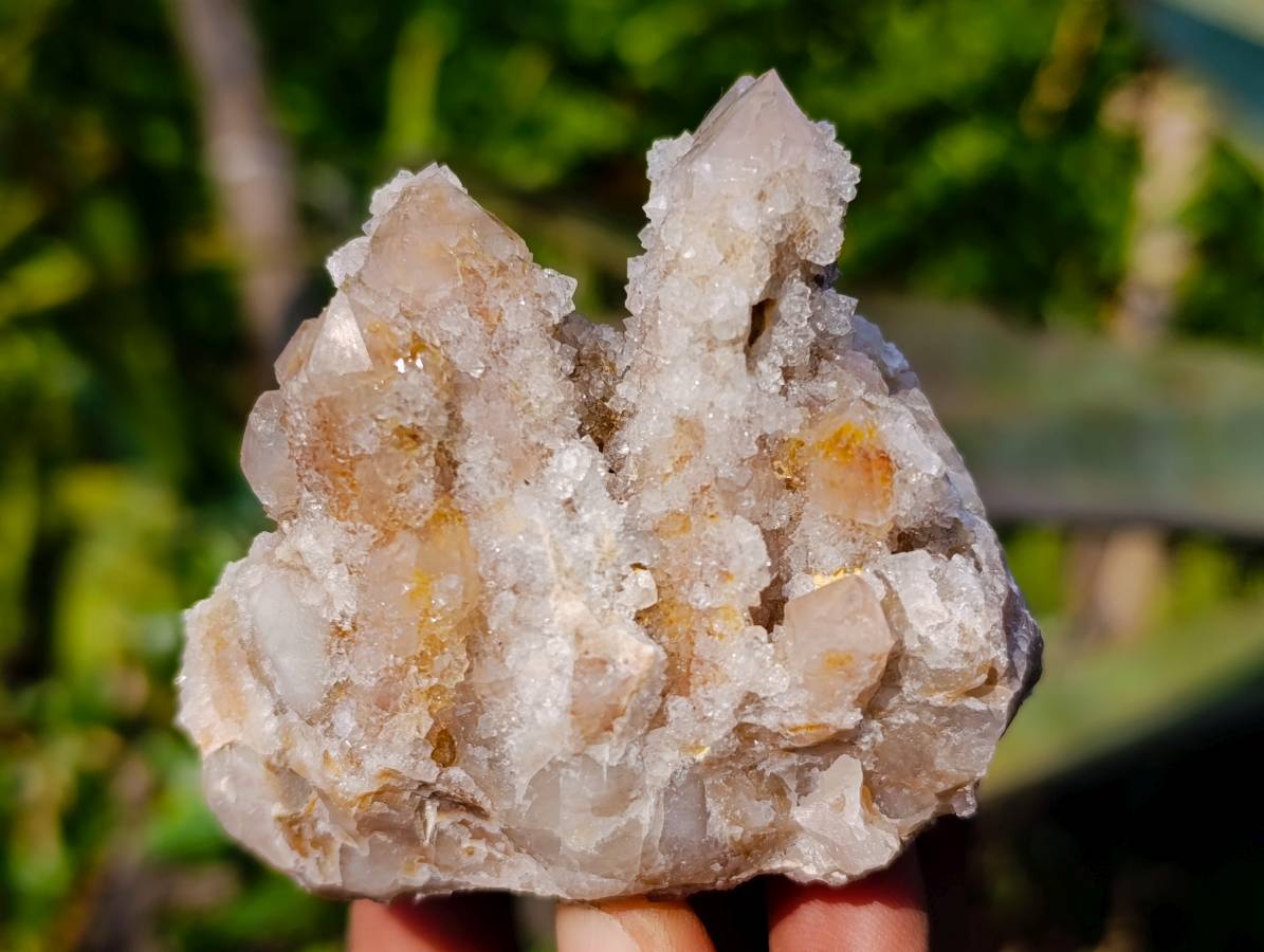 Natural Spirit Quartz Clusters x 12 From Boekenhouthoek, South Africa - Toprock Gemstones and Minerals 
