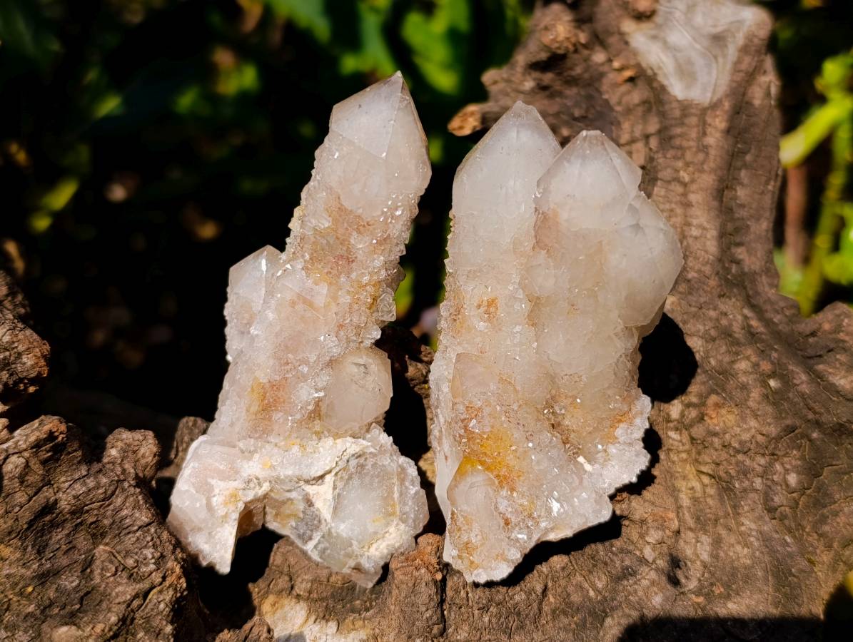 Natural Spirit Quartz Clusters x 12 From Boekenhouthoek, South Africa - Toprock Gemstones and Minerals 