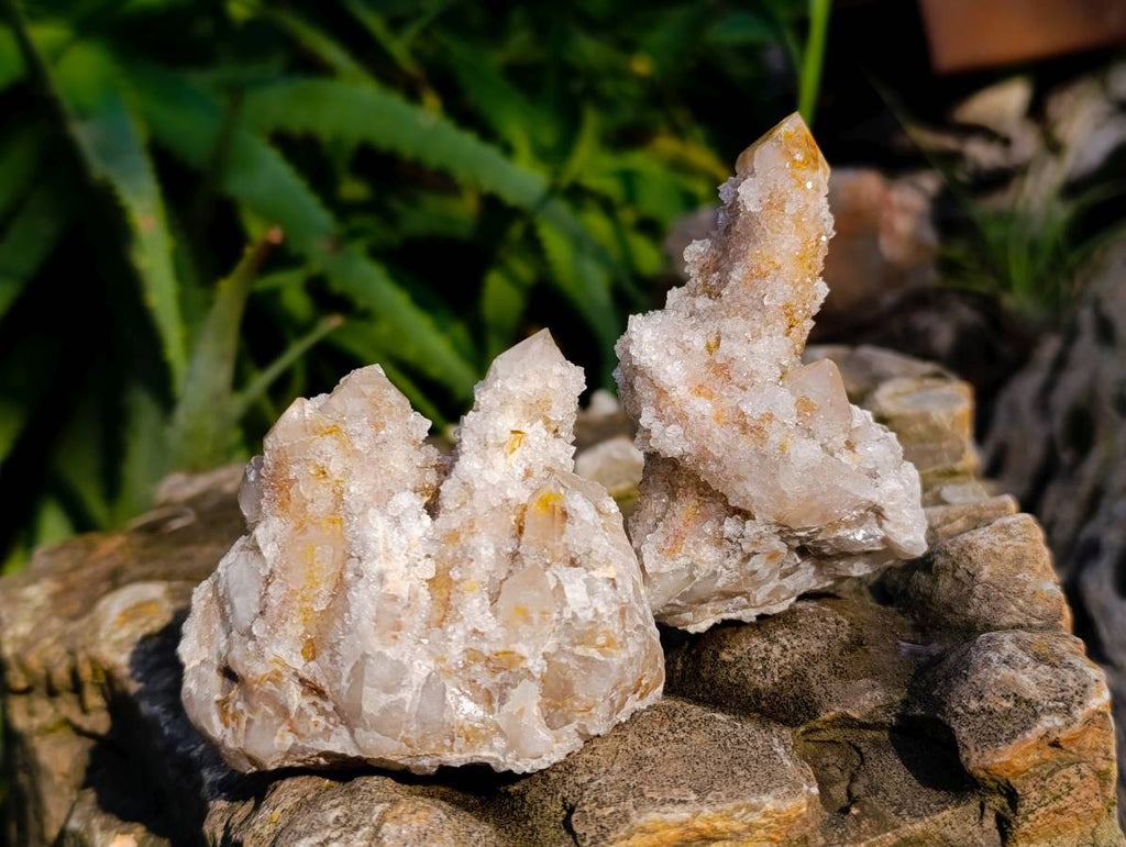 Natural Spirit Quartz Clusters x 12 From Boekenhouthoek, South Africa - Toprock Gemstones and Minerals 
