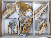 Polished On One Side 'Crazy' Blue Lace Agate x 6 From Namibia