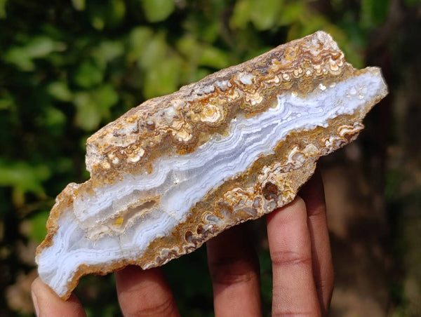 Polished On One Side 'Crazy' Blue Lace Agate x 6 From Namibia