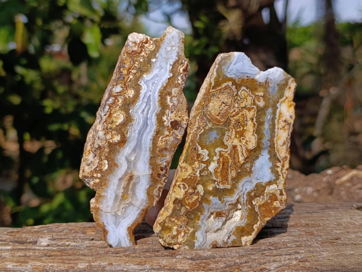 Polished On One Side 'Crazy' Blue Lace Agate x 6 From Namibia - Toprock Gemstones and Minerals 