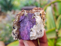 Natural Metallic Purpurite Cobbed Specimens x 35 From Erongo, Namibia