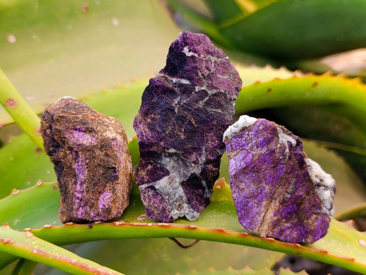 Natural Metallic Purpurite Cobbed Specimens x 35 From Erongo, Namibia - Toprock Gemstones and Minerals 