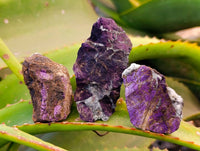 Natural Metallic Purpurite Cobbed Specimens x 35 From Erongo, Namibia