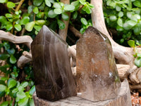 Polished Smokey Quartz Crystals x 2 From Madagascar - Toprock Gemstones and Minerals 