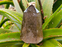 Polished Smokey Quartz Crystals x 2 From Madagascar - Toprock Gemstones and Minerals 