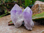 Polished Jacaranda Amethyst Quartz Crystals x 12 From Mumbwa, Zambia - Toprock Gemstones and Minerals 