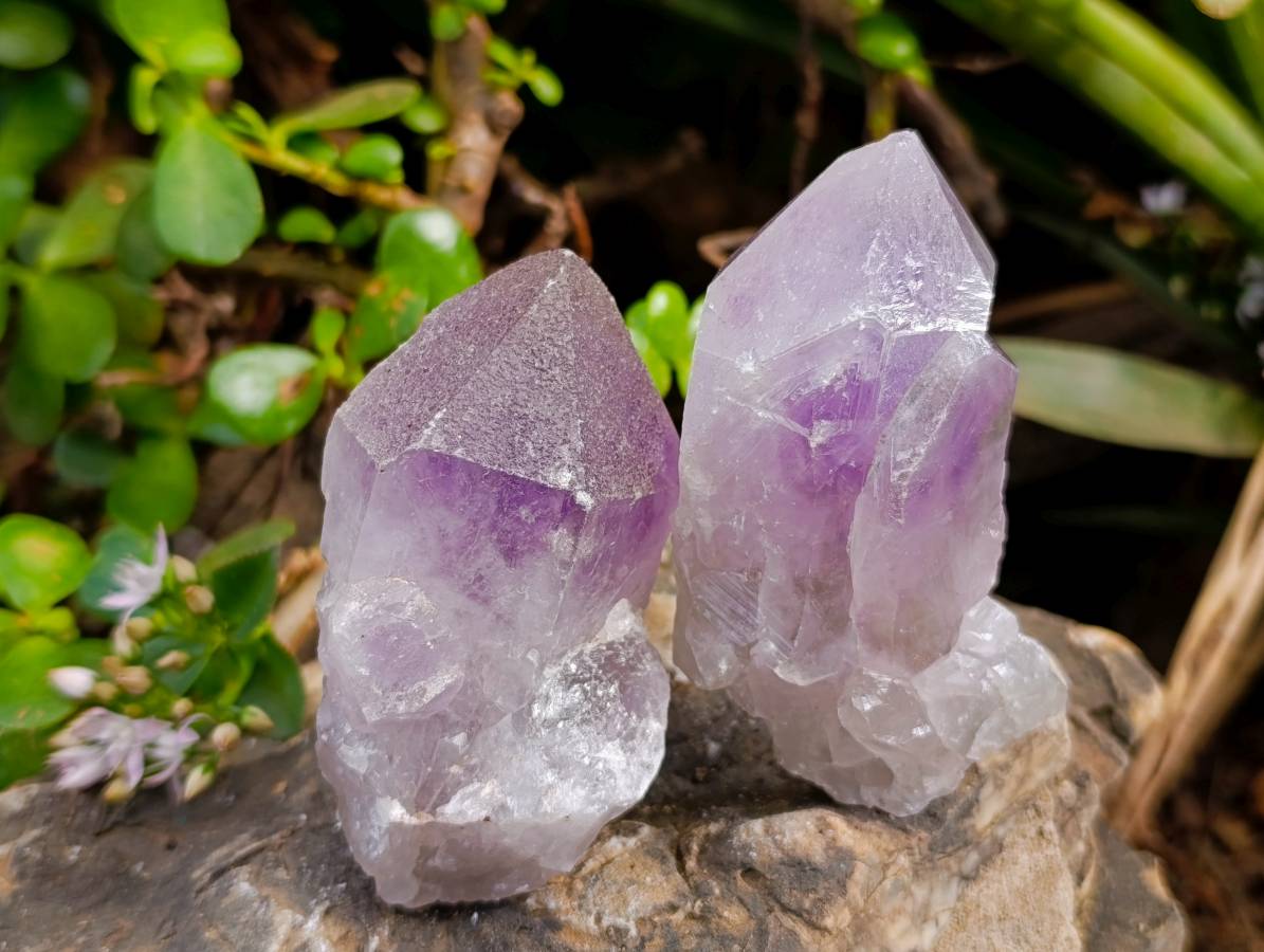 Polished Jacaranda Amethyst Quartz Crystals x 12 From Mumbwa, Zambia - Toprock Gemstones and Minerals 