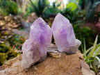 Polished Jacaranda Amethyst Quartz Crystals x 12 From Mumbwa, Zambia - Toprock Gemstones and Minerals 