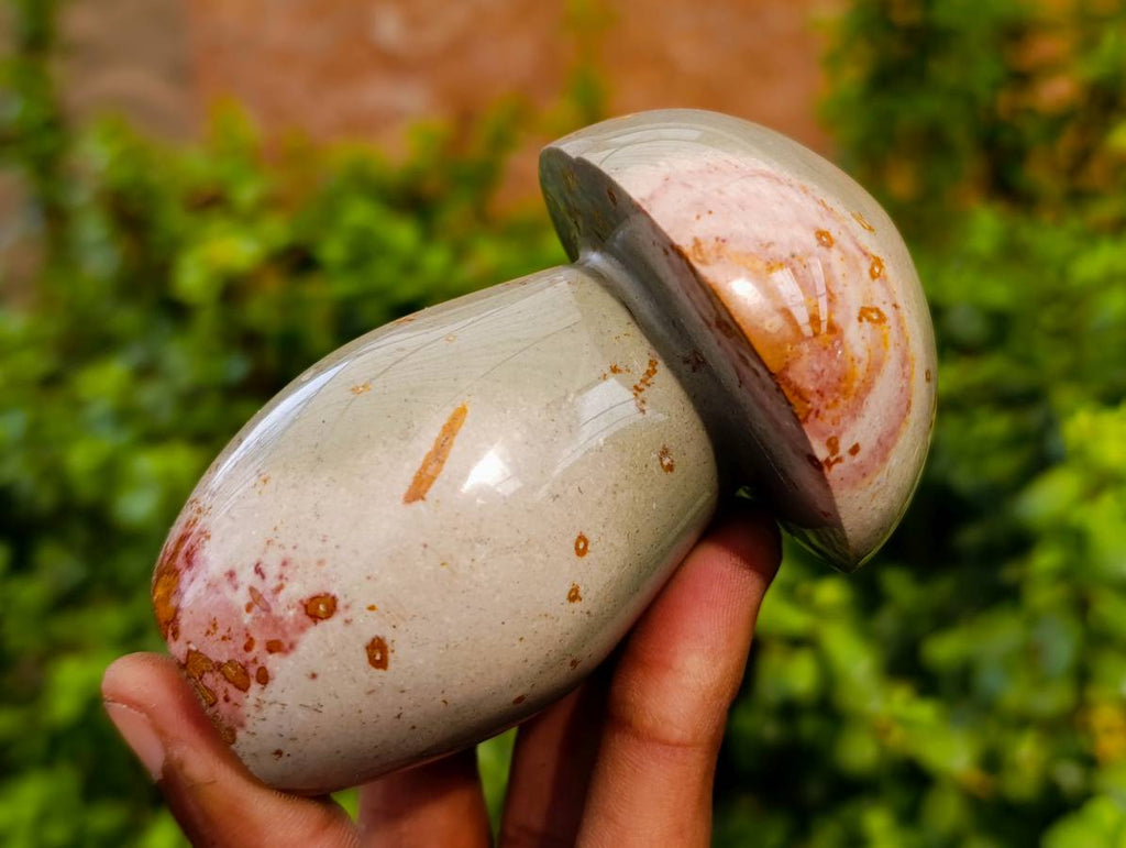 Polished Polychrome Jasper Mushrooms x 6 From Madagascar - Toprock Gemstones and Minerals 