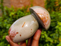 Polished Polychrome Jasper Mushrooms x 6 From Madagascar