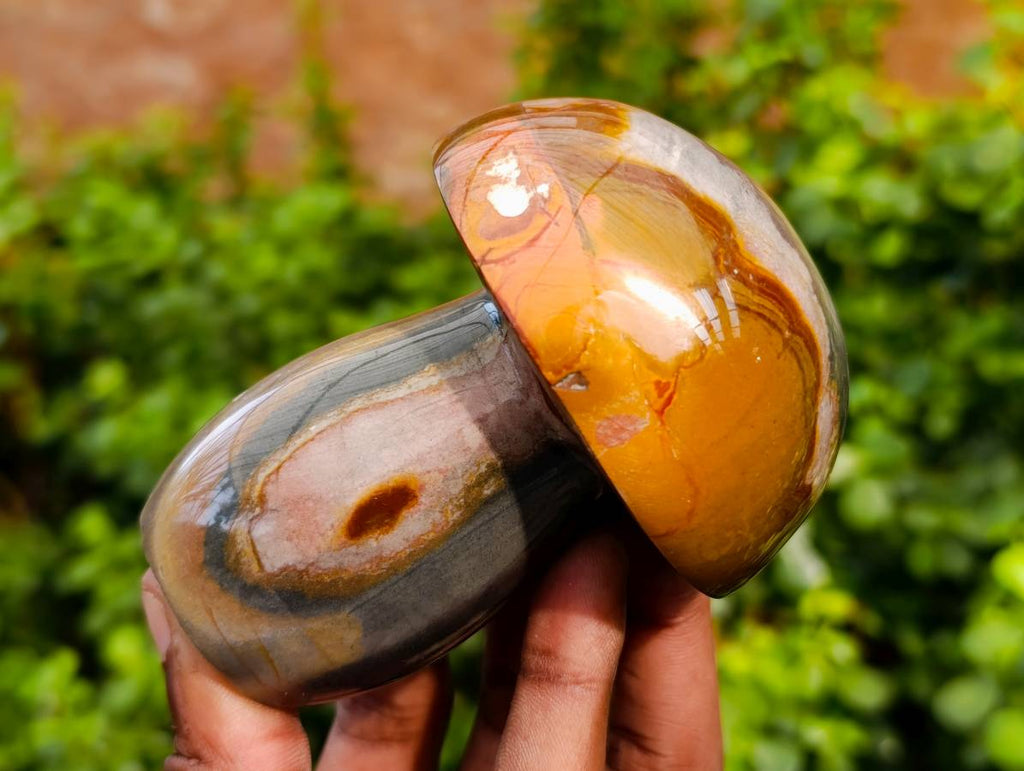Polished Polychrome Jasper Mushrooms x 6 From Madagascar - Toprock Gemstones and Minerals 